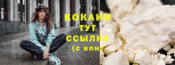 прущие грибы Козловка