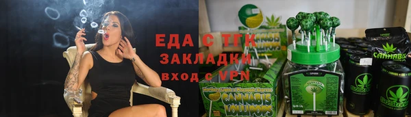 индика Киреевск