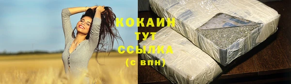 прущие грибы Козловка