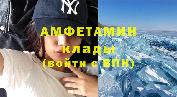 индика Киреевск