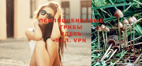 прущая мука Калининец