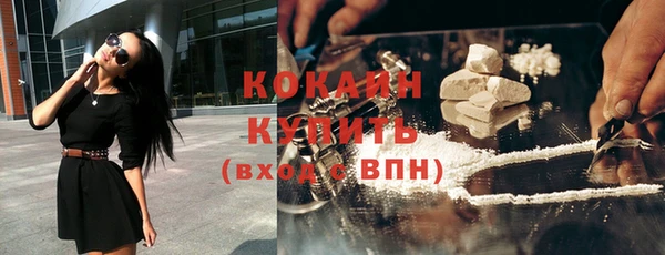 прущие грибы Козловка