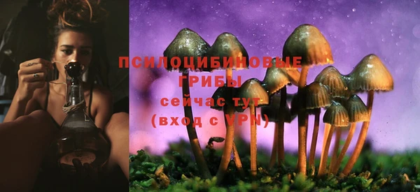 спайс Беломорск