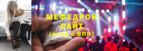 индика Киреевск